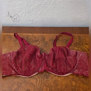 Torrid Lace Burgundy Bra
